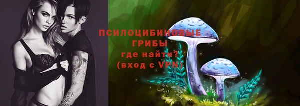 сатива Лихославль