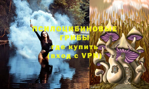 МДПВ Магадан