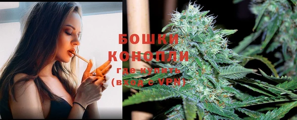 молекула духа Магас