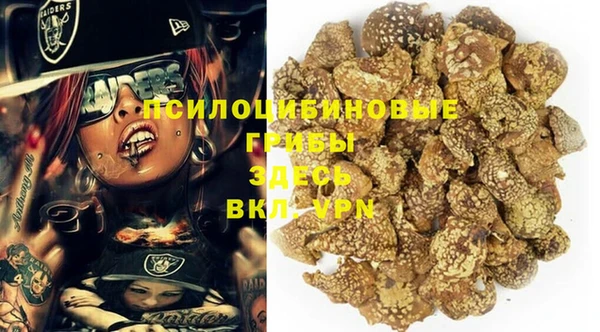 винт Лиски