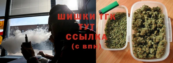 сатива Лихославль