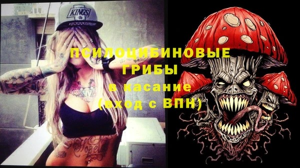 молекула духа Магас